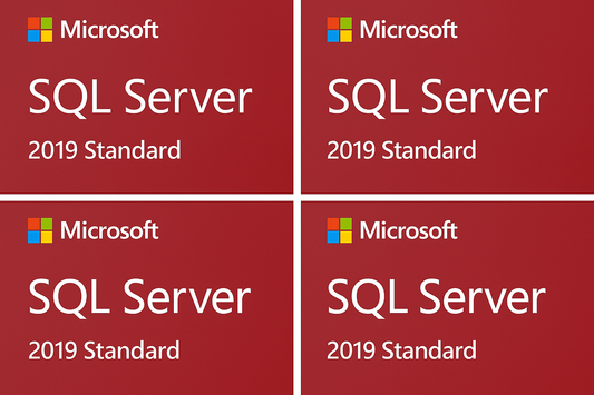 SQL Server 2019 Standard Official Style Image 1