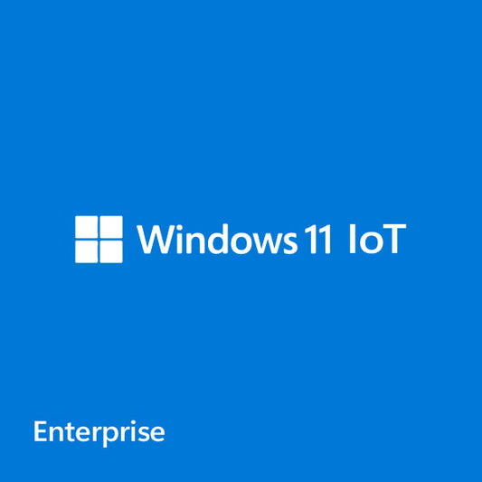 Microsoft Windows 11 IoT Enterprise High End EPKEA